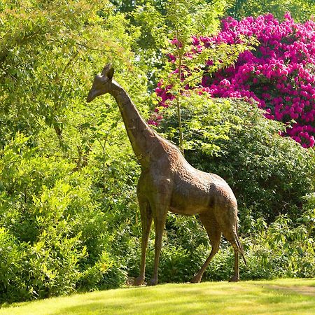 Tyrrells Park Bed & Breakfast Ringwood Bagian luar foto
