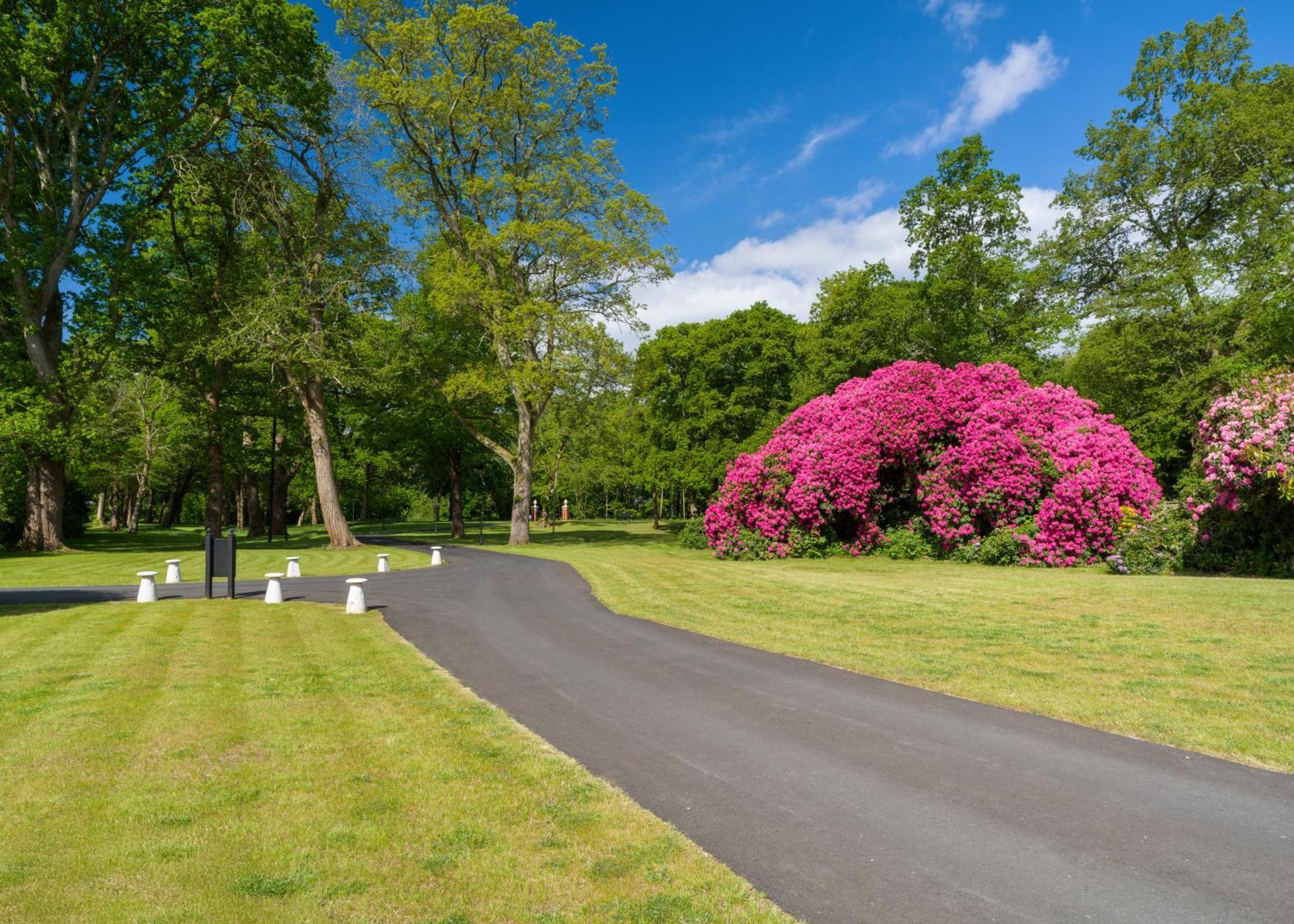 Tyrrells Park Bed & Breakfast Ringwood Bagian luar foto